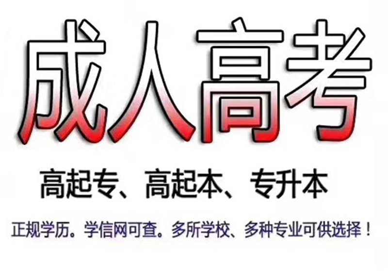 如何选择适合孩子的辅导方式？这是一个让许多家长头疼的问题。
